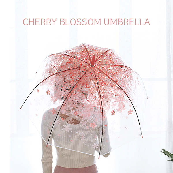 투명 벚꽃 우산